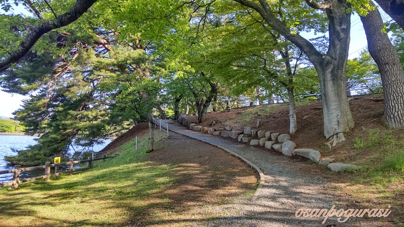 高松の池の遊歩道の緩やかな坂道