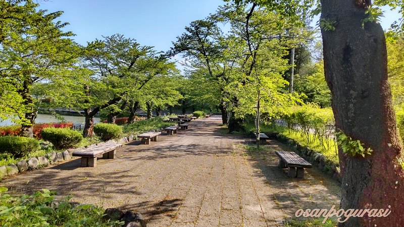 高松の池の休憩できる場所