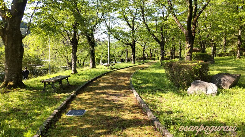 新緑に囲まれた高松の池の土の遊歩道とベンチ