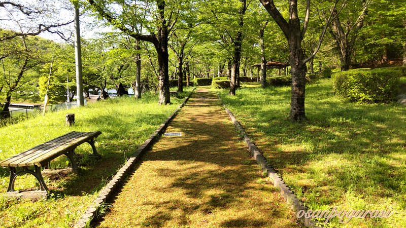 木々の新緑につつまれた高松の池の散歩道