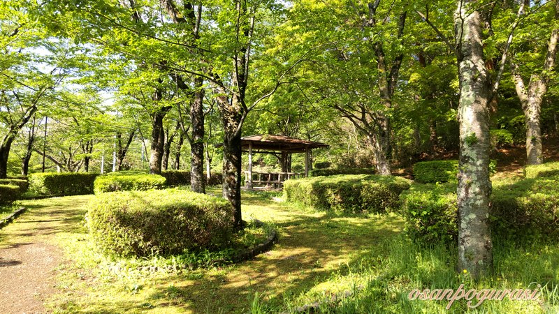新緑の木立の中にある高松の池の東屋