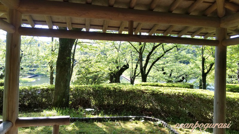 東屋の中から眺める高松の池の新緑の景色