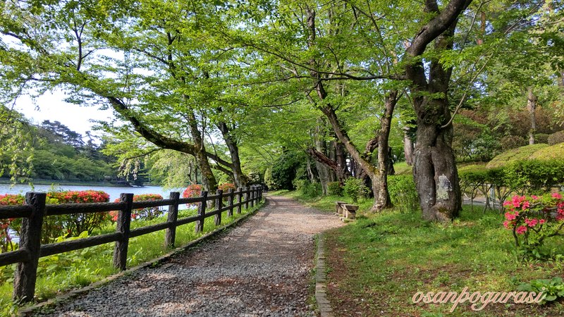 柵に沿って続く高松の池の遊歩道と新緑
