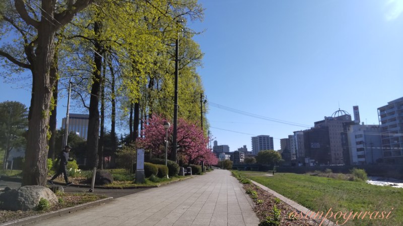 中津川沿いウォーキングのスタート地点、盛岡城跡公園沿いの遊歩道